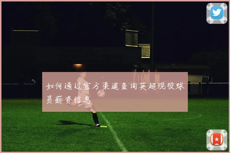 如何通过官方渠道查询英超现役球员薪资信息