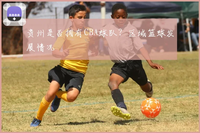 贵州是否拥有CBA球队？区域篮球发展情况