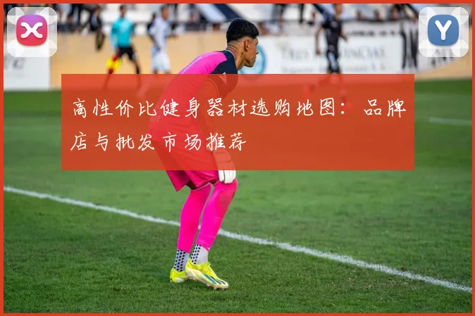 高性价比健身器材选购地图：品牌店与批发市场推荐