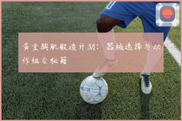 黄金胸肌锻造计划：器械选择与动作组合秘籍