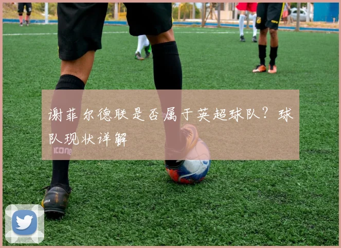 谢菲尔德联是否属于英超球队？球队现状详解