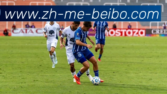 BB体育下载发展历程